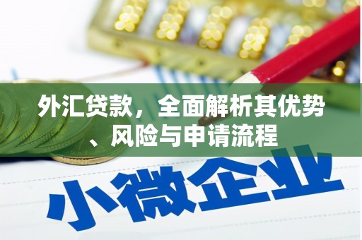 汪清外汇贷款，全面解析其优势、风险与申请流程