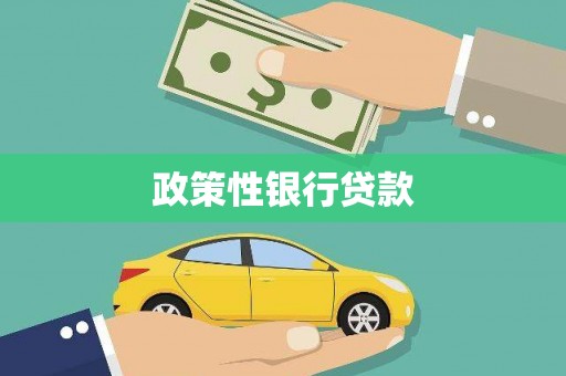 汪清政策性银行贷款