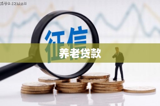 汪清养老贷款
