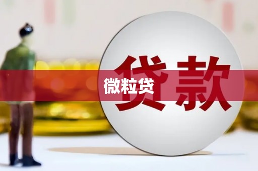汪清微粒贷