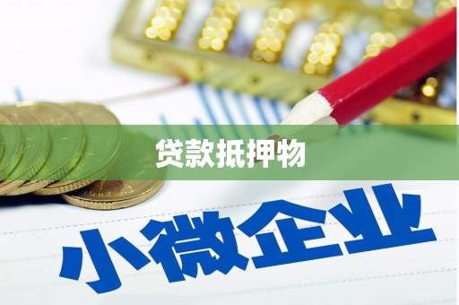 汪清贷款抵押物