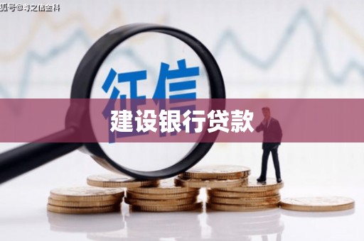 汪清建设银行贷款
