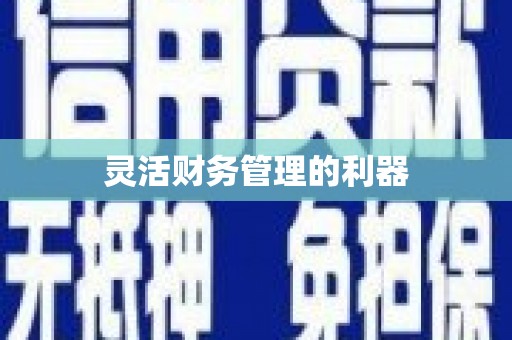 汪清灵活财务管理的利器