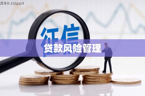 汪清贷款风险管理