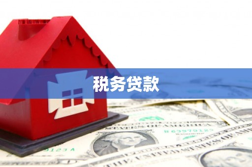 汪清税务贷款