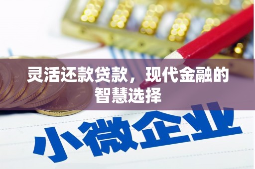 汪清灵活还款贷款，现代金融的智慧选择