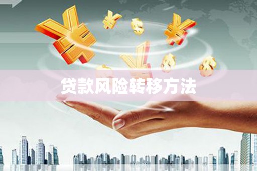 汪清贷款风险转移方法