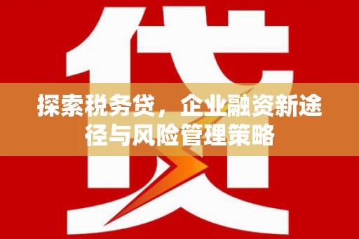 汪清探索税务贷，企业融资新途径与风险管理策略