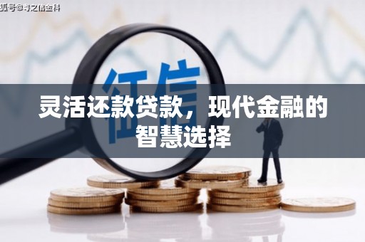 汪清灵活还款贷款，现代金融的智慧选择