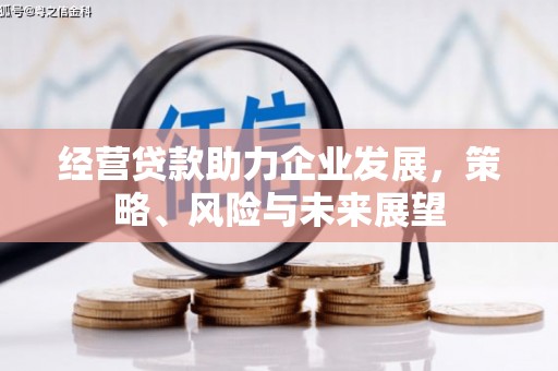 汪清经营贷款助力企业发展，策略、风险与未来展望