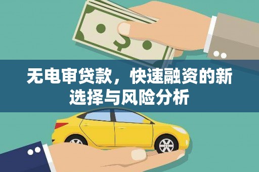汪清无电审贷款，快速融资的新选择与风险分析