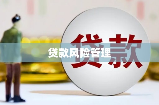 汪清贷款风险管理