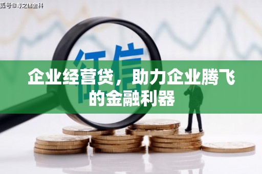 汪清企业经营贷，助力企业腾飞的金融利器
