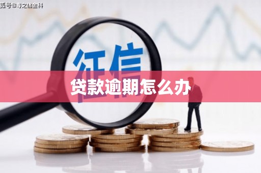 汪清贷款逾期怎么办