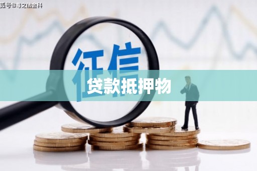 汪清贷款抵押物