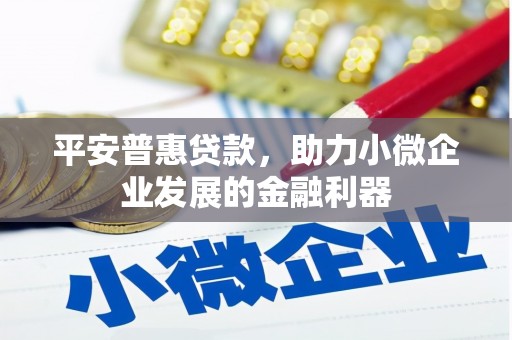 汪清平安普惠贷款，助力小微企业发展的金融利器