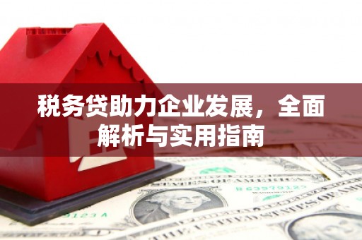 汪清税务贷助力企业发展，全面解析与实用指南