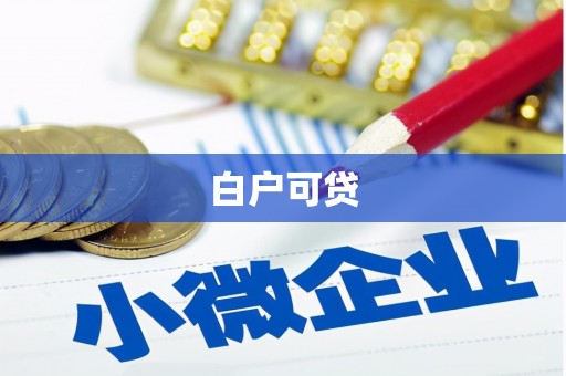 汪清白户可贷