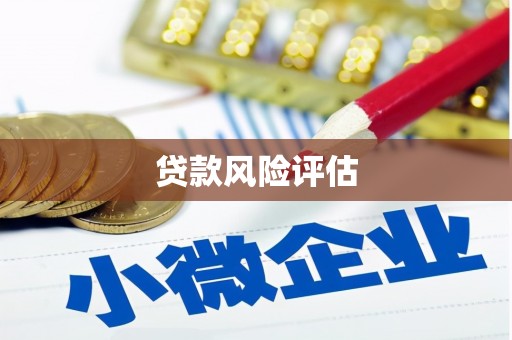 汪清贷款风险评估