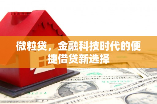 汪清微粒贷，金融科技时代的便捷借贷新选择