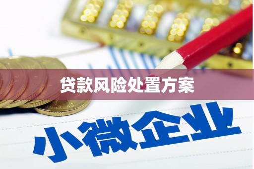 汪清贷款风险处置方案