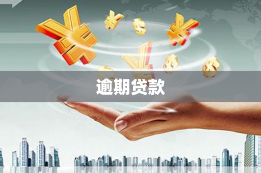 汪清逾期贷款