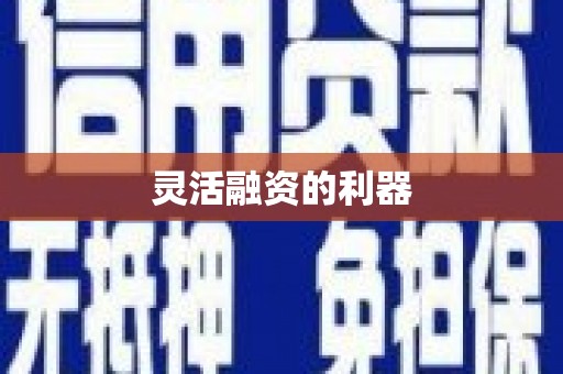 汪清灵活融资的利器