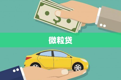 汪清微粒贷