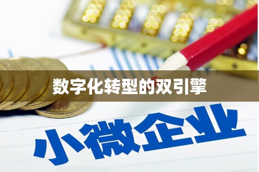 汪清数字化转型的双引擎
