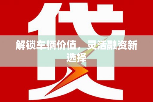 汪清解锁车辆价值，灵活融资新选择