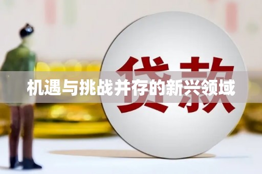 汪清机遇与挑战并存的新兴领域