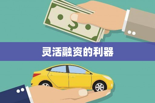 汪清灵活融资的利器