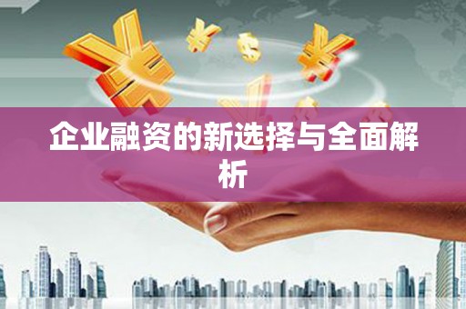 汪清企业融资的新选择与全面解析