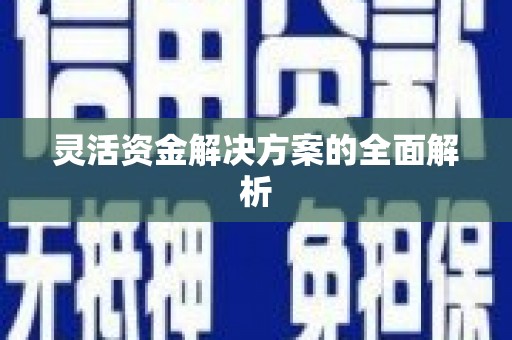 汪清灵活资金解决方案的全面解析